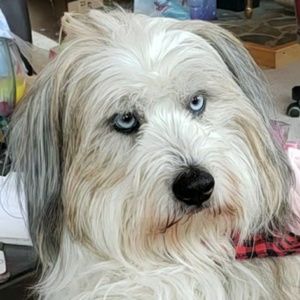 Meet your Posher, Jane